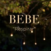bebe